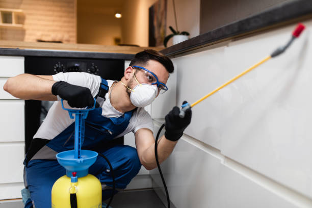 Best Flea Control Services  in Roslyn, PA