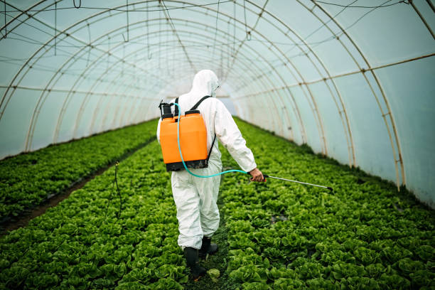 Best Best Pest Control Companies  in Roslyn, PA