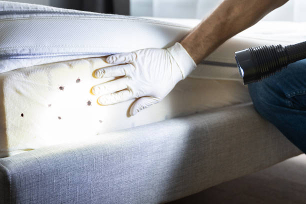 Best Emergency Pest Control  in Roslyn, PA