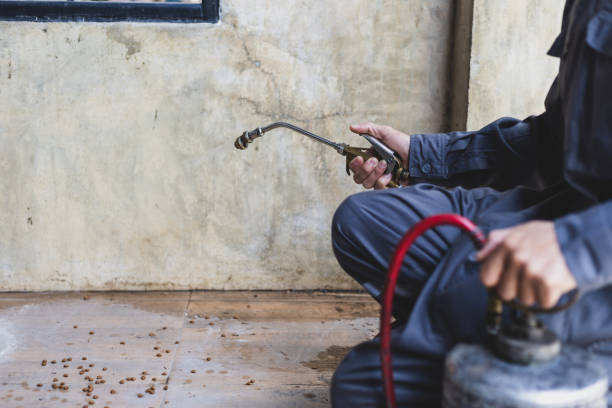 Best Residential Pest Control  in Roslyn, PA